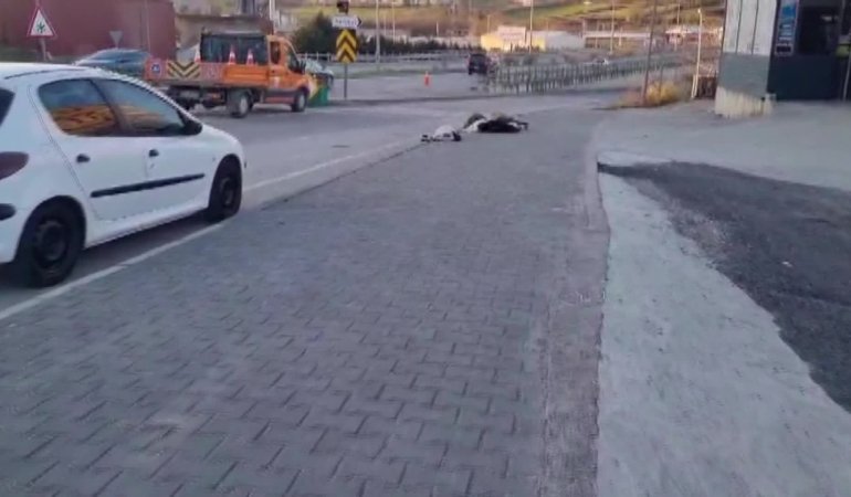 Sinop’ta otomobil küçükbaş hayvan sürüsüne çarptı